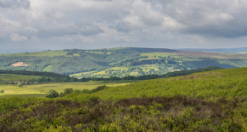 Eyam Moor